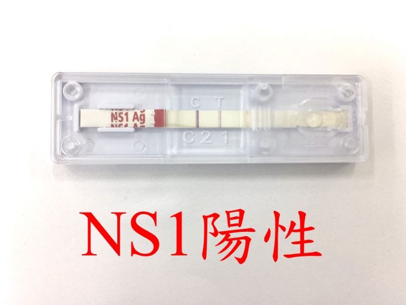 NS1快速檢驗-陽性